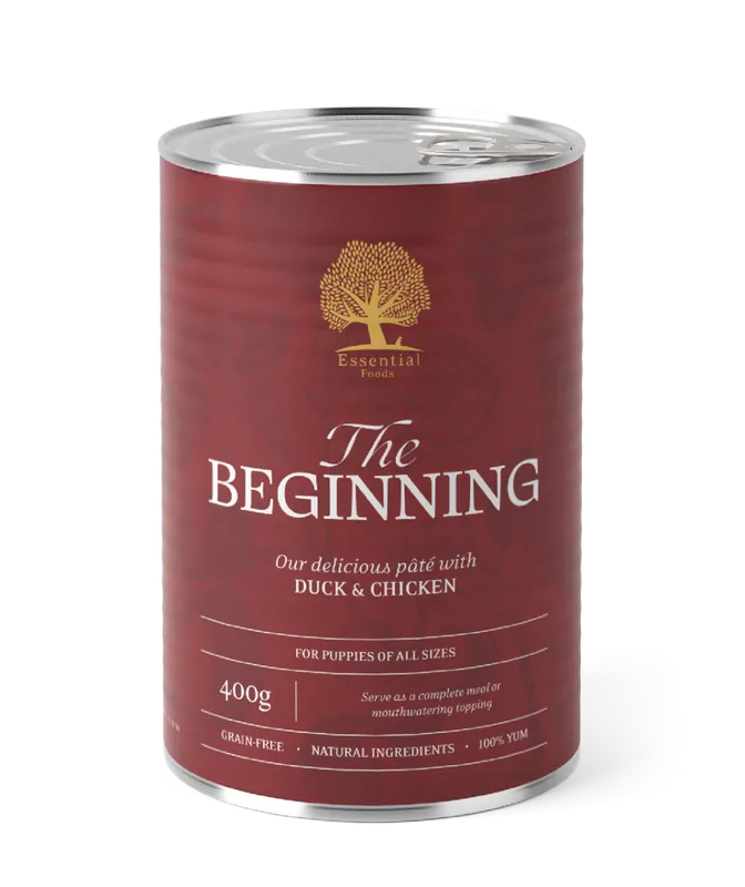Prissänkt - Essential The Beginning Paté Hundfoder – 6 x 400 g