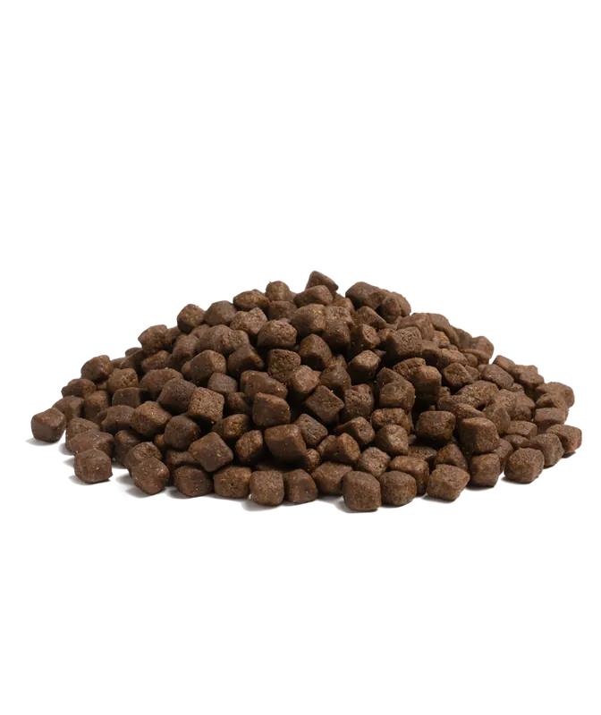 Essential Estate Living Torrfoder till Hund – 2,5 kg - Fynd