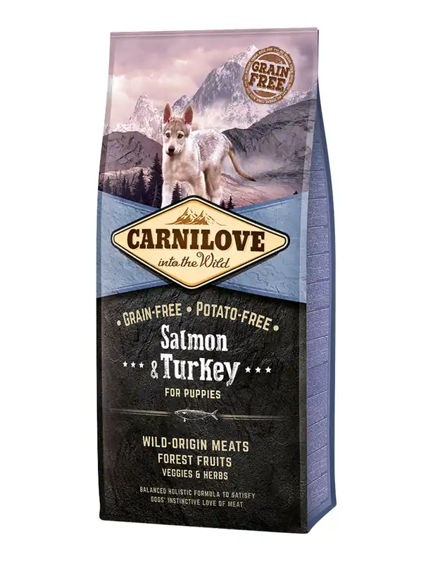 Salmon & Turkey Puppy Torrfoder för Valpar – 12 kg | Rabatt