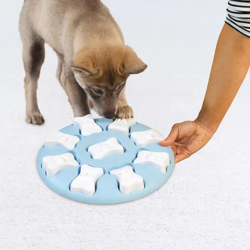 Efterfrågad | Puppy Smart