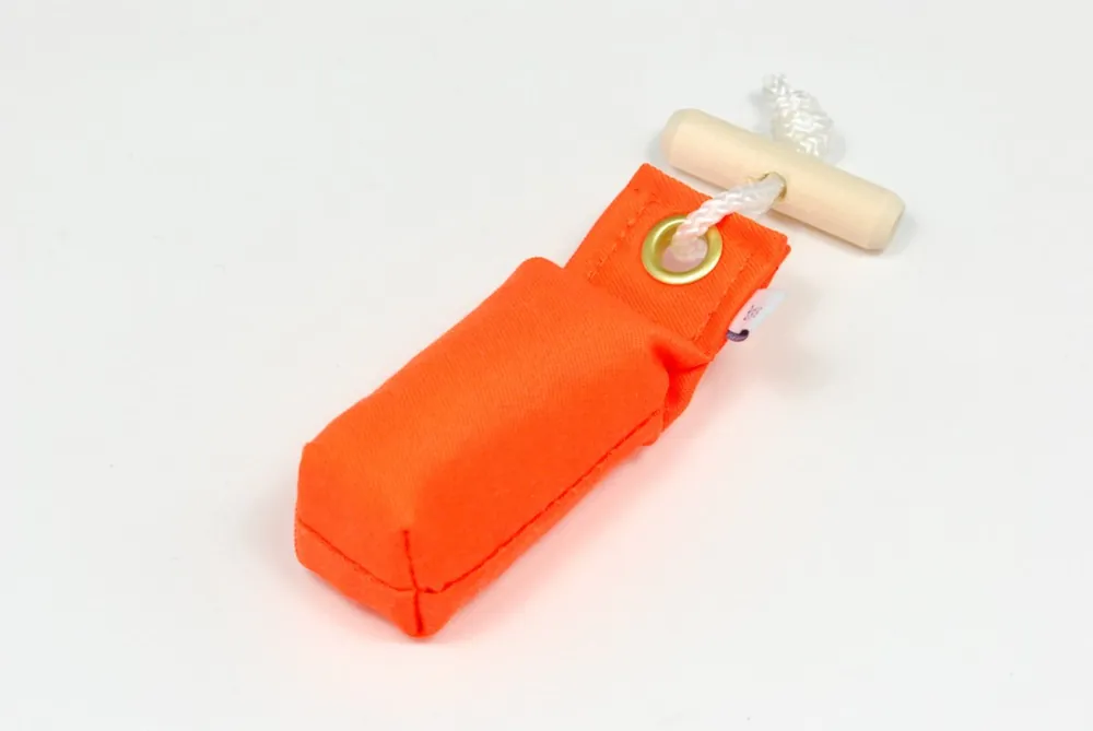 Bara idag - Träningsdummies Mini till Hund – Neonorange