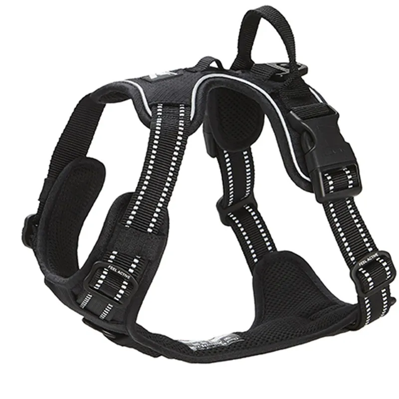 Feel Active Training Hundsele Svart | Begränsat lager