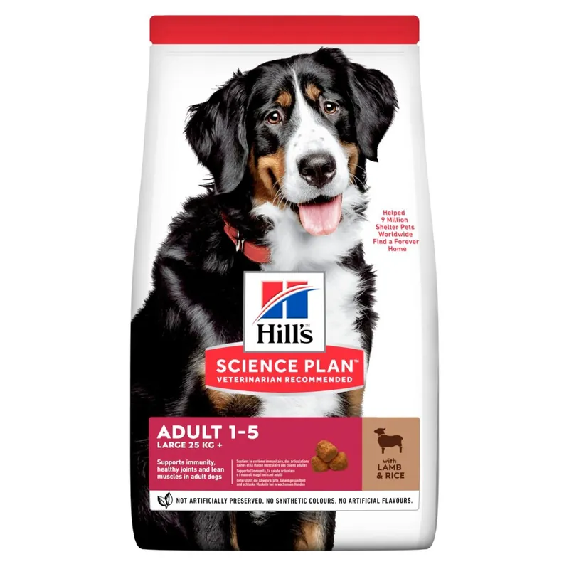 Populär | Adult Large Breed torrfoder med lamm och ris Hundfoder – 14 kg