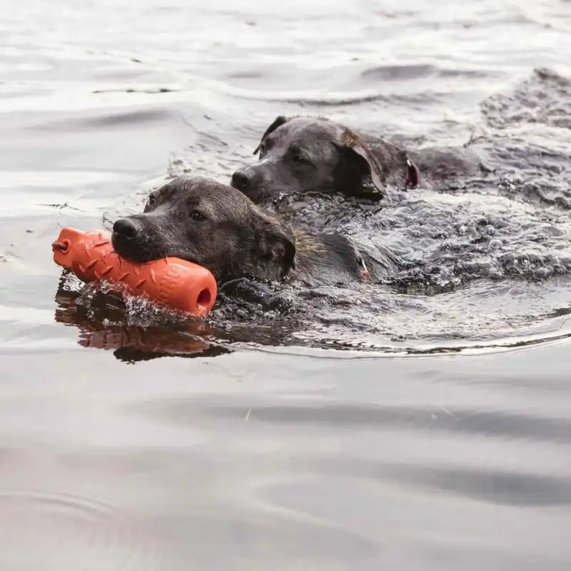 Prisnedsättning | KONG Training Dummy