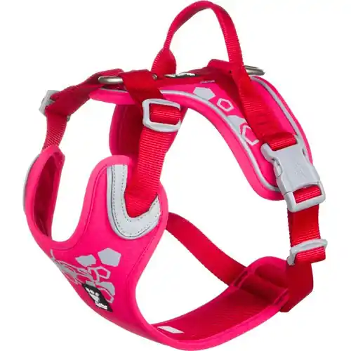 Mycket uppskattad | Weekend Warrior Hundsele – 80 – 100 cm / Ruby