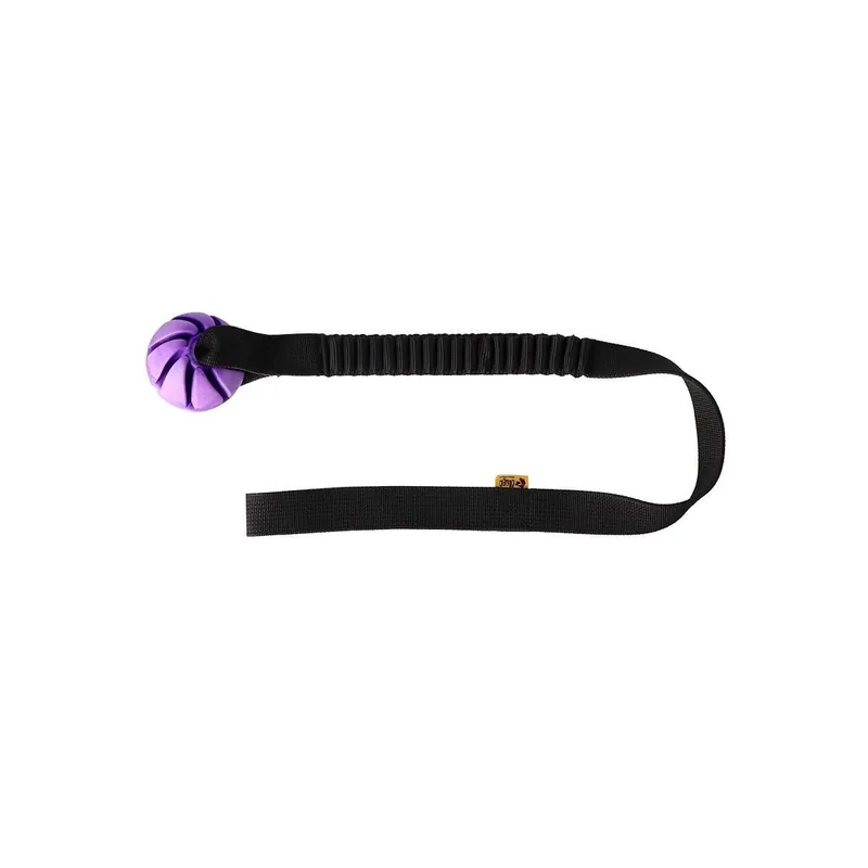 Ny produkt | Dingo Bungee Kampleksak med Boll