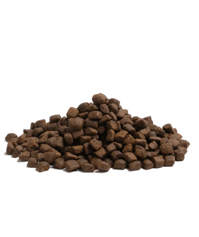 Essential Stamina Torrfoder till Hund – 2,5 kg - Bästsäljare