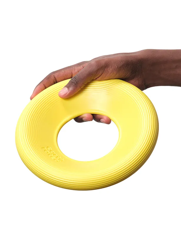 Frisbee till Hund – Large - Begränsat antal