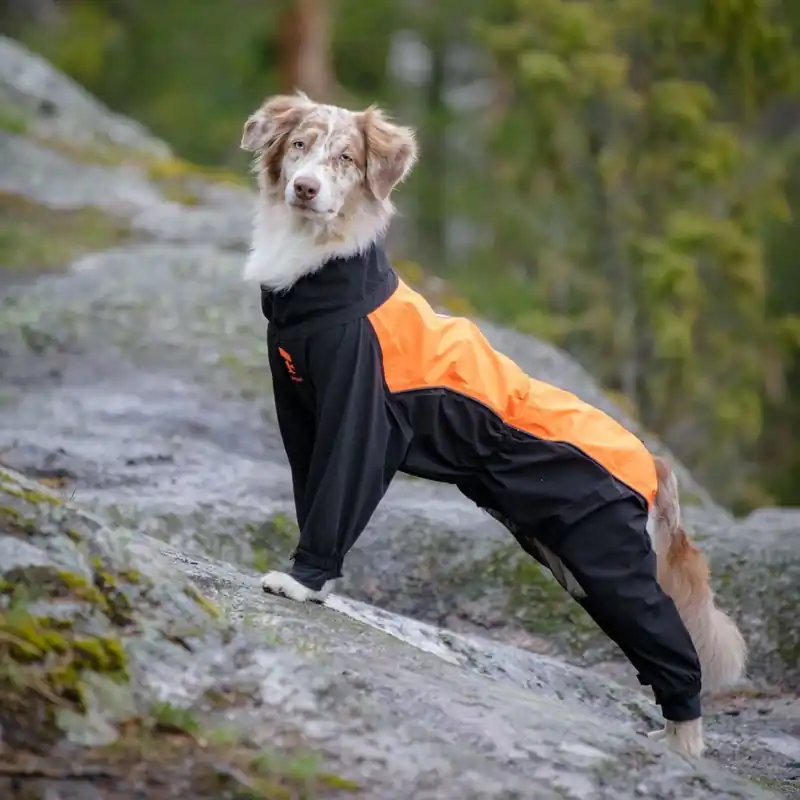 Snart slut - Feel Active Helsingborg Hundoverall Reflex Svart/Orange