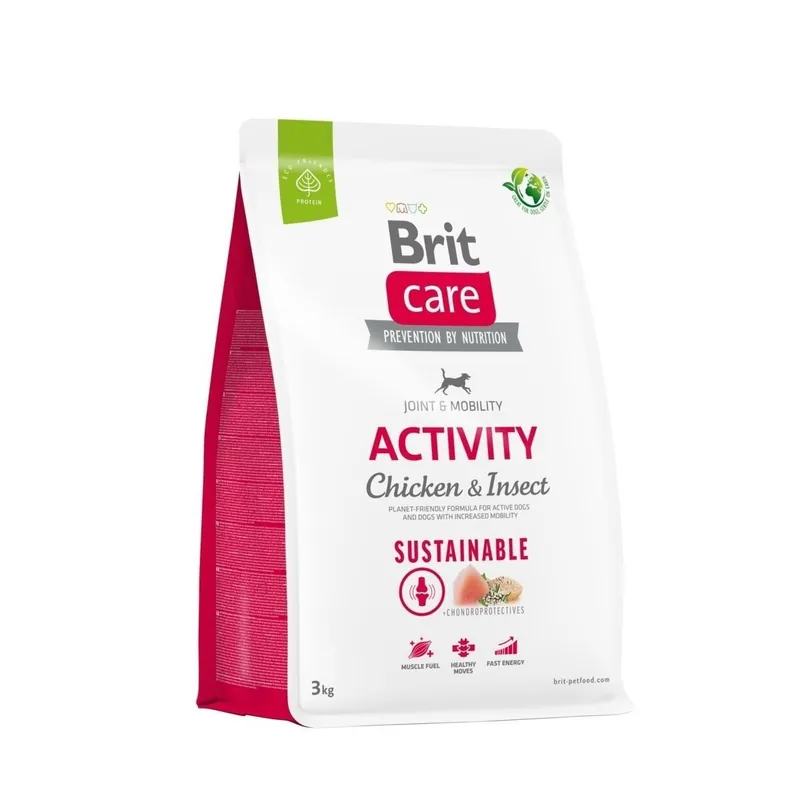 Endast idag - Brit Care Dog Sustainable Activity