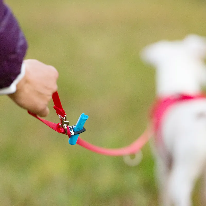 Kanonpris | Adjustable Leash Nylon Vävt Justerbart Hundkoppel – Red Small