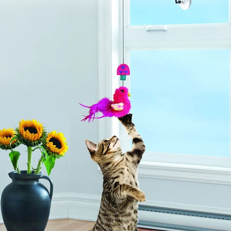 Nästan slut | KONG Cat Connects Window Teaser