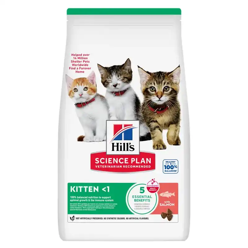 Enkel retur - Kitten torrfoder med lax – 1,5 kg