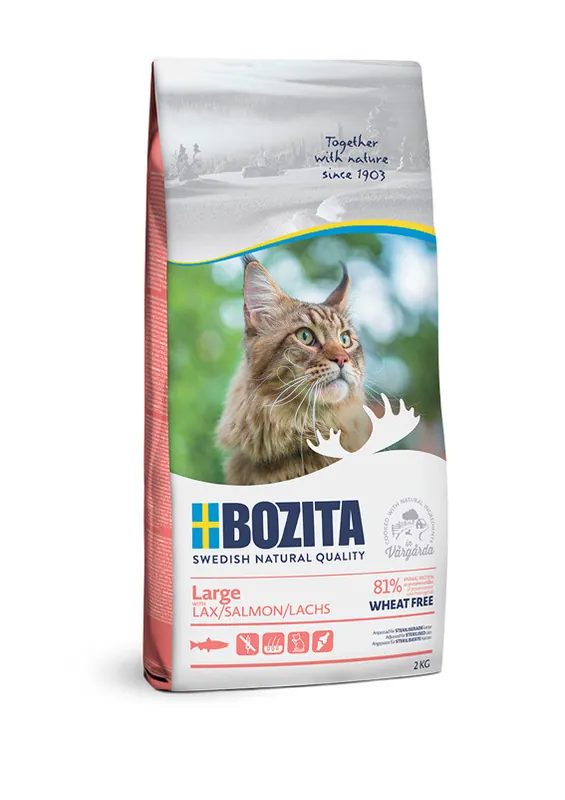 Large Cat Wheat Free Salmon Kattfoder – 2 kg | Fyndpris