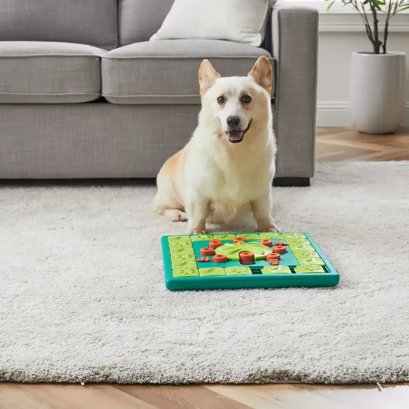 Rabatter - Nina Ottosson Dog Multi Puzzle Grön