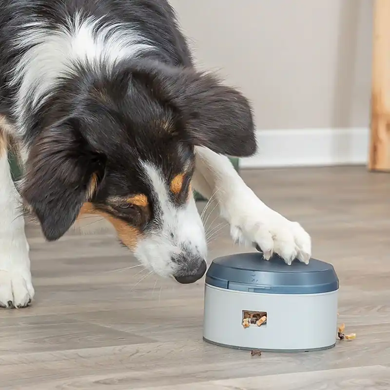 Tryggt köp - Trixie Activity Buzzer Hundgodisdispenser