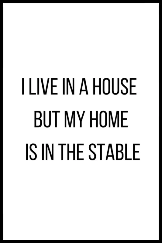 Finns i lager | Poster – I live in a house