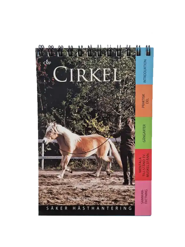 Toppkvalitet | Cirkel häst – Del 5