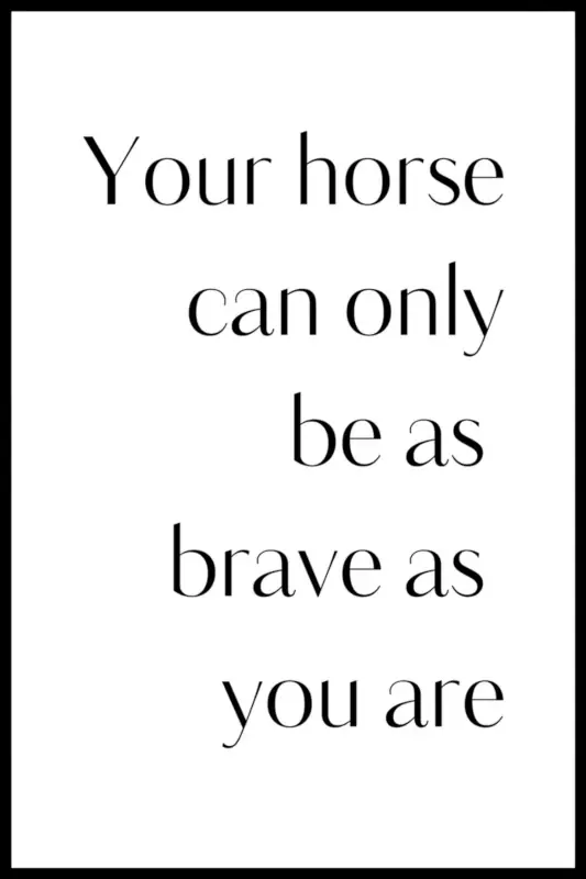 Poster – Your horse can only | Gratis retur