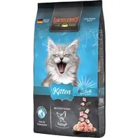 Passa på nu | Leonardo Kitten - 7,5 kg