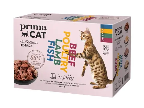 Våtfoder Multipack i Gelé för Katt - 12 x 85 g | Nedsatt pris