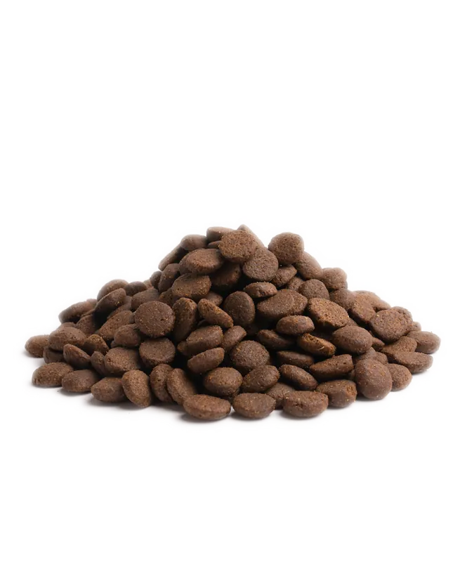 Favorit - Essential Contour Torrfoder till Hund - 10 kg
