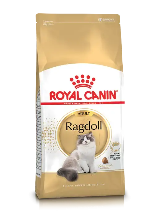 Ragdoll Adult Torrfoder för katt – 2 kg | Fabrikspris