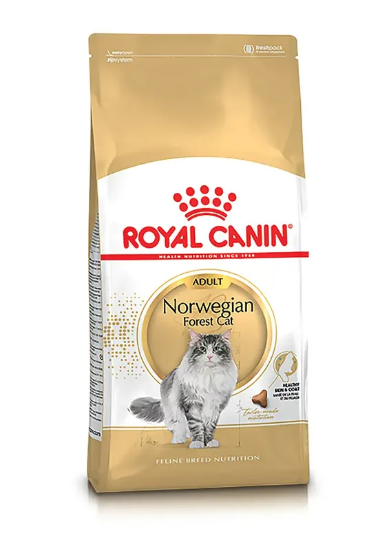 Efterfrågad - Norwegian Forest Adult Torrfoder för katt – 2 kg