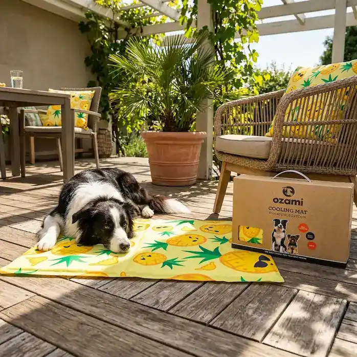 Skaffa nu | Ozami Cooling Mat Kyldyna – Pineapple