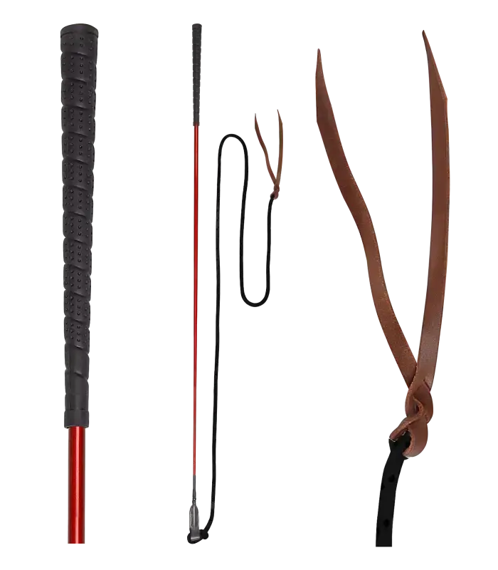 Ta chansen | Contact stick Horsemanship