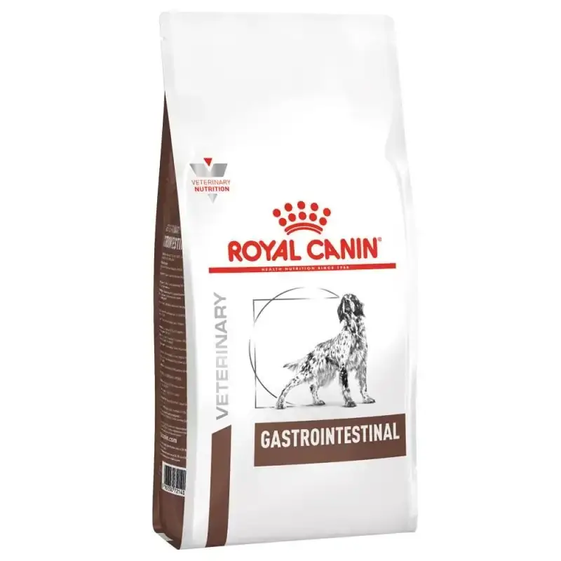 RCV Dog Gastro Intestinal | Skynda dig