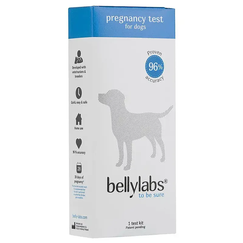 Bellylabs Dräktighetstest Hund - Rekommenderas