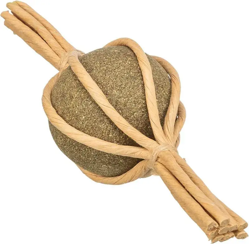Catnip candy XXL, 17 cm | Handla online