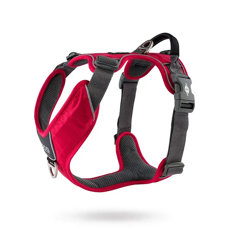 Comfort Walk Pro Harness Ny 2020 – Classic Red - Kundernas favorit