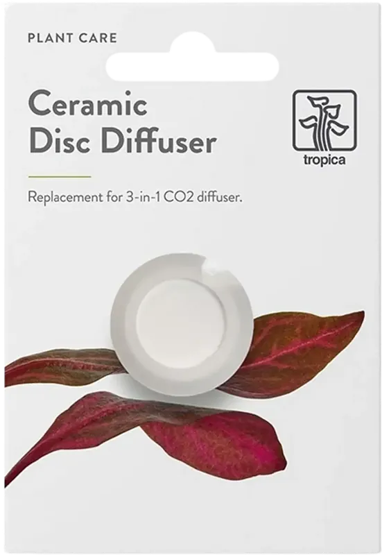 Rea - Tropica Ceramic Disc