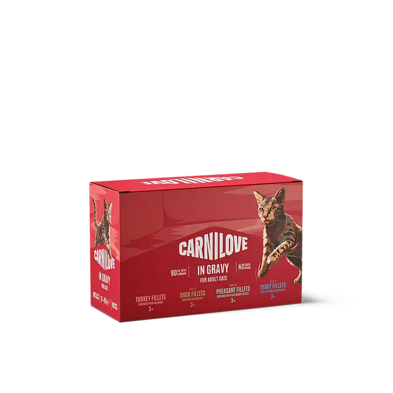 Bara idag - CL Cat Pouch Gravy Multipack (12×85 g)