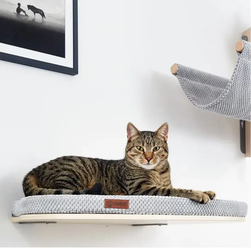 Cosy and Dozy Katthylla CATWALK REST Maple Basic - Nedsatt pris