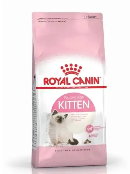Skynda dig - RC Kitten
