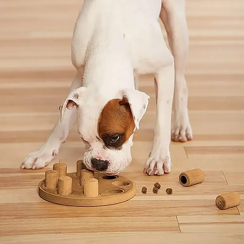 Tryggt köp - Dog Smart Komposit Orange