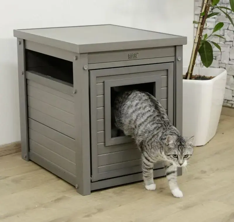 ECO Kattmöbel Daffy | Handla nu