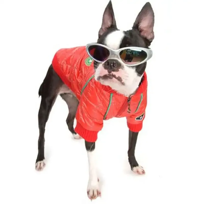 PA F1 Jacket – Röd – Small - Nyhet