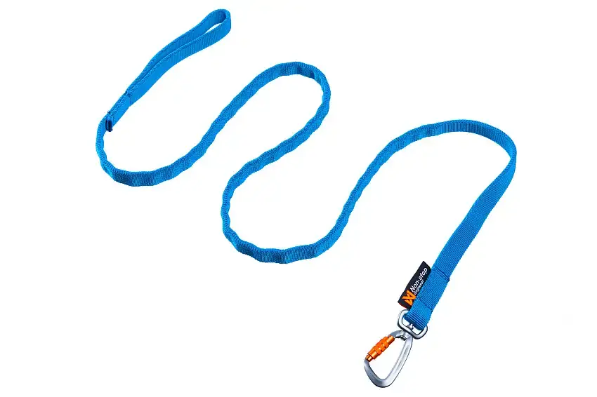 Väl omtyckt - Bungee Hundkoppel LTD Blå-111134