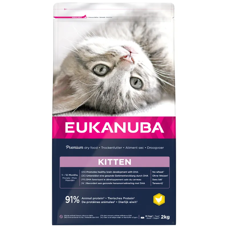Passa på nu - Eukanuba Healthy Start Kitten – 2 kg