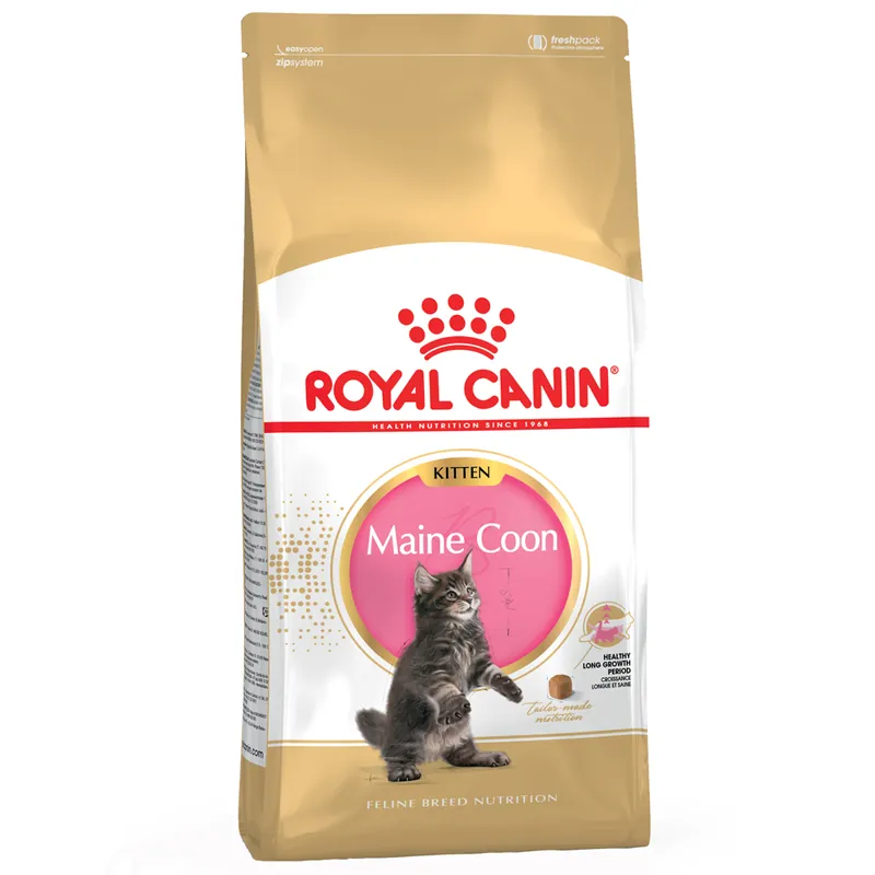 Expressleverans - Royal Canin Maine Coon Kitten – 4 kg