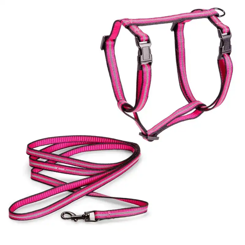Basic Cat Reflective Kattsele & Koppel (Rosa) - Tillverkarpris