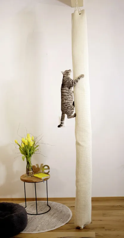 Cat scratching climber | Favorit