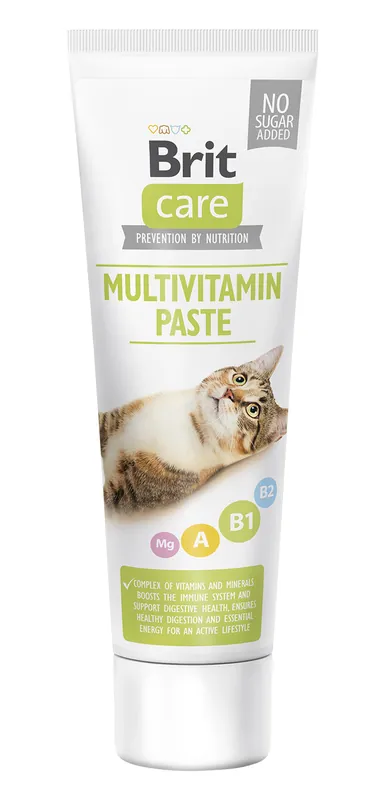 Finns tillgänglig | Brit Cat Paste Multivitamin creme