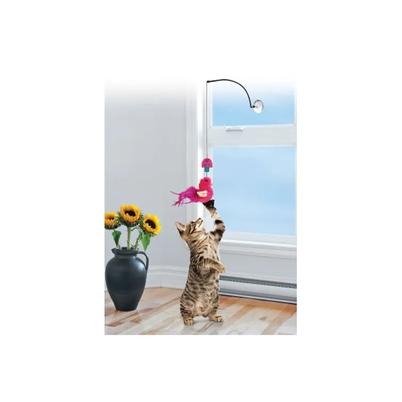 Kampanj - KONG Cat Connects Window Teaser