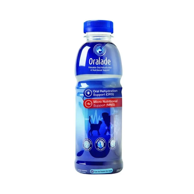 Oralade Hund 500 ml - Köp nu
