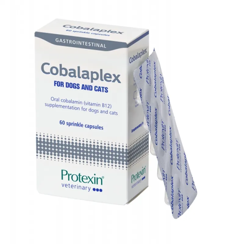 Populär - Cobalaplex